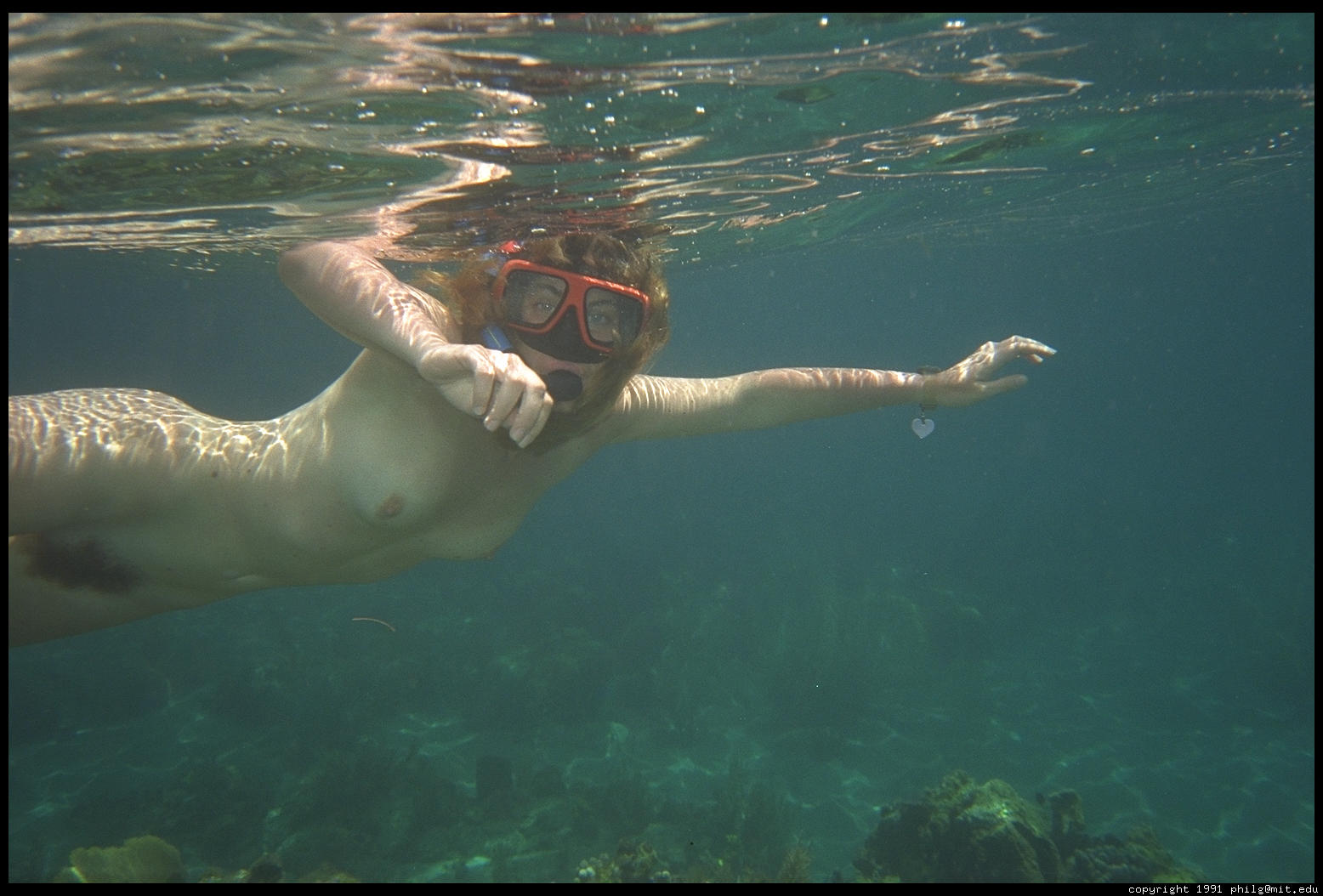 darcee milioli add photo naked snorkeling