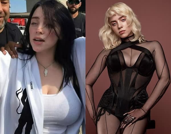 avelino sevidal recommends billie eilish boob pics pic