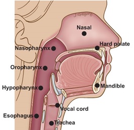 dianne cooperman recommends Throated Tubes