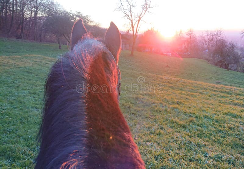 arlene ferrer share pov riding photos