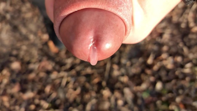 cock closeups