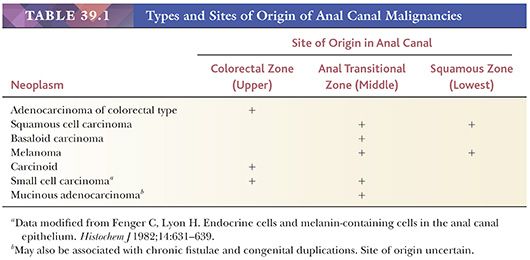 anal category