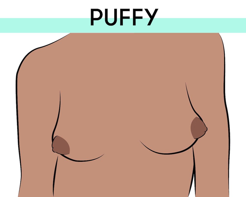 dave pasin recommends Puffy Women Nipple