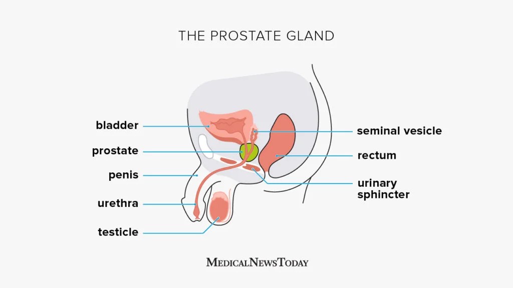 donna blankenship recommends cum during prostate exam pic