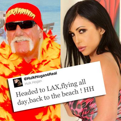 amanda leigh miller recommends brooke hogan porn pic