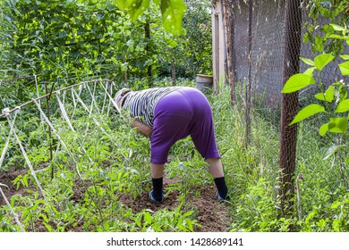 danielle derosia recommends Big Booty Old Ladies