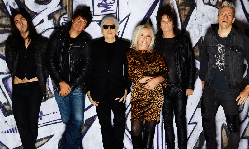 christina poh recommends Blondie Bee