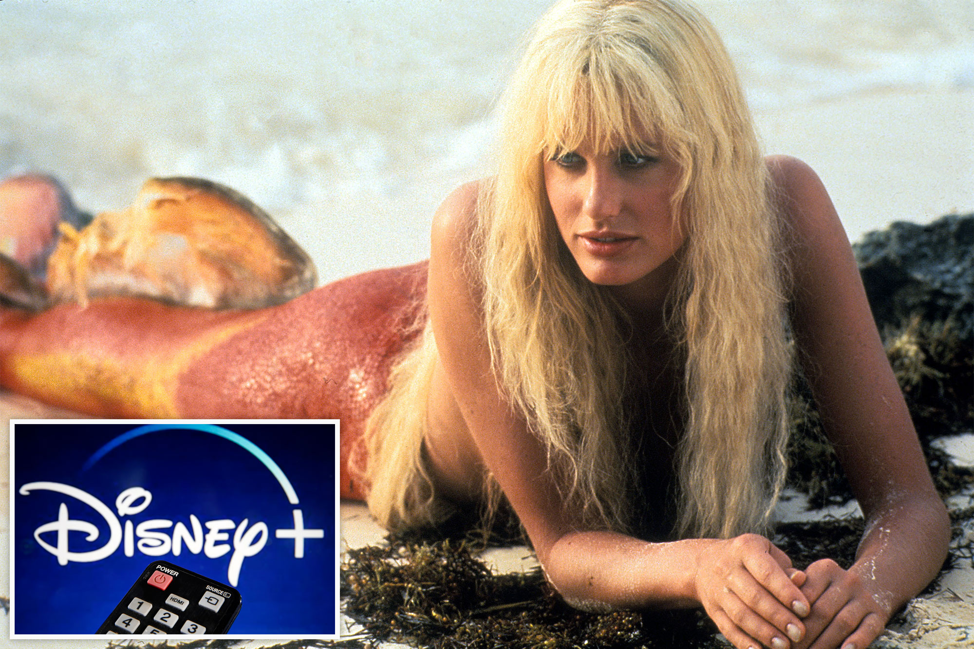 allan rutherford recommends Daryl Hannah Nude