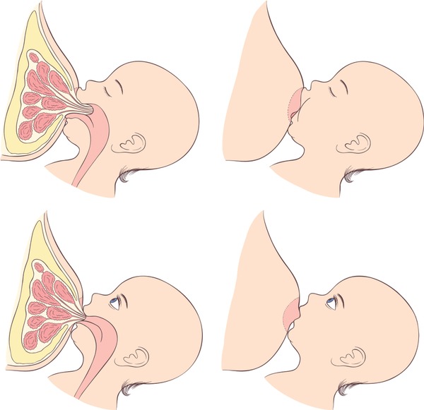 Best of Couple sucking