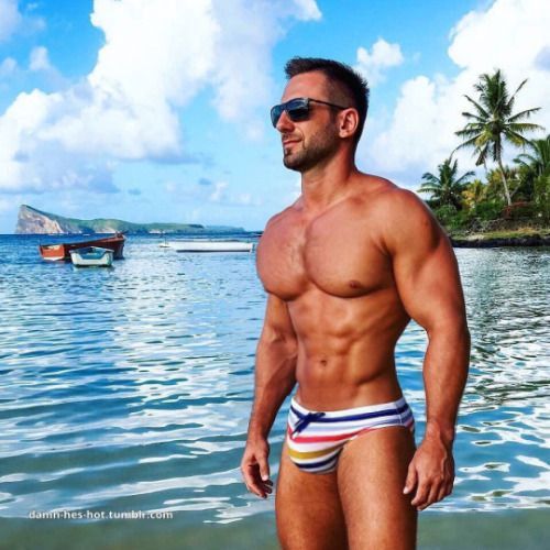 dominique molina recommends Speedo Bulge Men